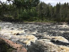 Kesäinen lähikuva kosken kuohuista.