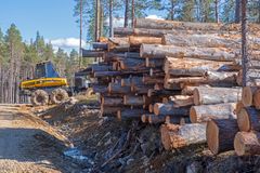 Inarin yhteismetsän ikimetsistä hakattu puu on koottu pinoihin, joista löytyy kaiken ikäistä puuta 300-vuotiaista lahoista jättiläisistä energiarankoihin. Puut ovat menossa energiapuuksi eli poltettaviksi.