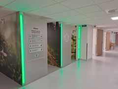 Korridor med dörröppningar dekorerade med gröna landskapstapeter. Bredvid dörröppningarna lyser gröna lysrörslampor.