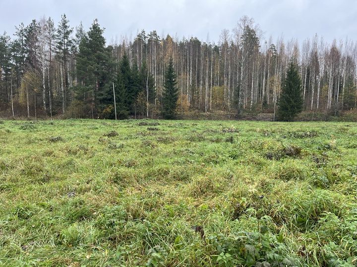 Turvepelto Hausjärvellä