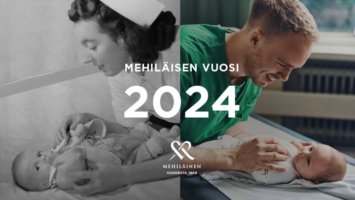 Mehiläisen vuosi 2024