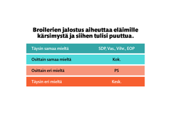 Puoluekysely 2025: broilerien jalostus