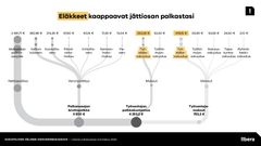 Esimerkkipalkan 3500 €/kk työnantajakustannukset ovat 4240€/kk kun työntekijä saa nettopalkkaa 2480€/kk. Eläkejärjestelmään menee 870€/kk eli yli kolmannes nettopalkasta. Se on huomattavasti enemmän kuin työntekijät maksamat verot valtiolle ja kunnalle yhteensä 596€/kk.