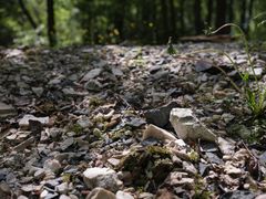 Kuva: Helsingin kaupunginmuseo / Yehia Eweis