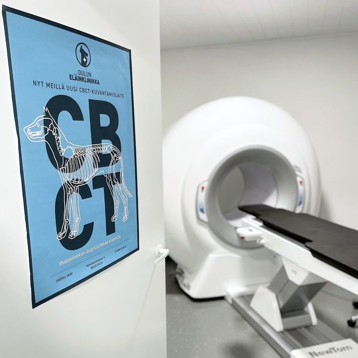 Eläinlääkäriaseman röntgenhuone, CBCT-laite taustalla. Seinällä juliste koiran luurangosta.