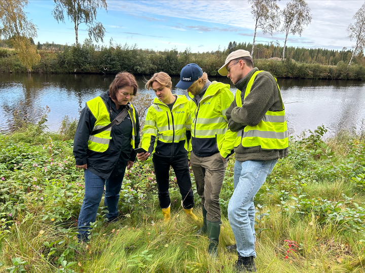 Neljä henkilöä keltaisissa huomioliiveissä seisoo ulkona rehottavassa luonnossa joen äärellä tarkastellen mahdollista hankealuetta.