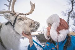 Nuorti Reindeer.