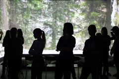 Taidetestaajia Oulun taidemuseossa.