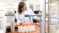 Alena Seidenfaden from the University of Rostock processes a water sample in the laboratory for further analysis / EU4Regions