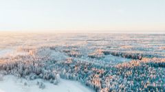 Pääomasijoittajat ovat avainasemassa yritysten rahoituksen ja kasvun vauhdittamisessa. Pääomasijoittajat ry:n uudet ehdotukset madaltavat turhia säädösesteitä, mahdollistavat veroneutraalin sijoittamisen sekä houkuttelevat kansainvälisiä rahastosijoittajia maahan.