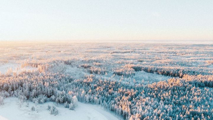 Pääomasijoittajat ovat avainasemassa yritysten rahoituksen ja kasvun vauhdittamisessa. Pääomasijoittajat ry:n uudet ehdotukset madaltavat turhia säädösesteitä, mahdollistavat veroneutraalin sijoittamisen sekä houkuttelevat kansainvälisiä rahastosijoittajia maahan.