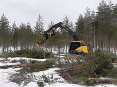 Puustoa poistettiin Keski-Suomessa Saarijärven seurakunnan Viitalamminsuolla.