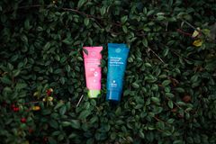 Gutology Low Res molemmat