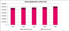 Antal gäldenärer under året 2021−2025.