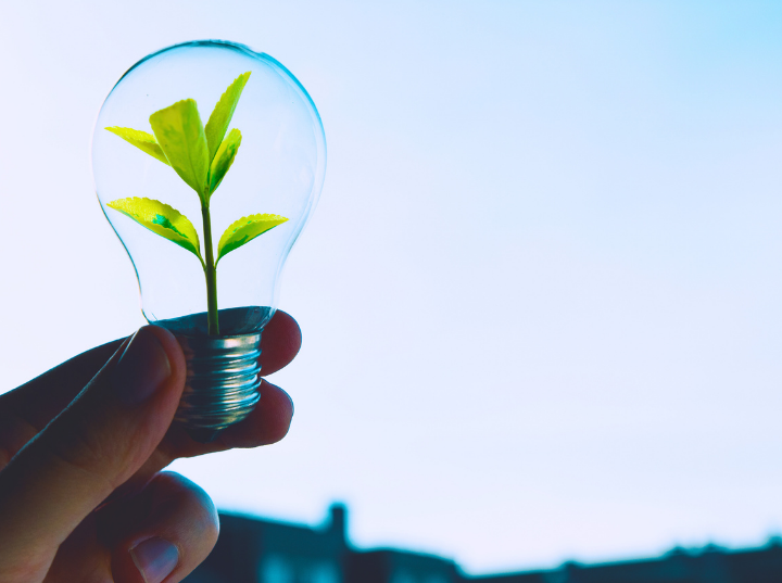 Henkilö pitelee hehkulamppua, jonka sisällä kasvaa pieni vihreä kasvi. Taustalla sininen taivas.