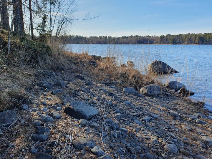 Kuva vesistön ääreltä. Kuvassa vettä ja kivikkoista ja hiekkaista rantaa, jonka laskeva vesi on jättänyt kuivaksi.