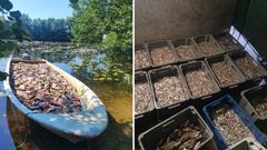 hoitokalastusta Kangasalan Kirkkojärvellä